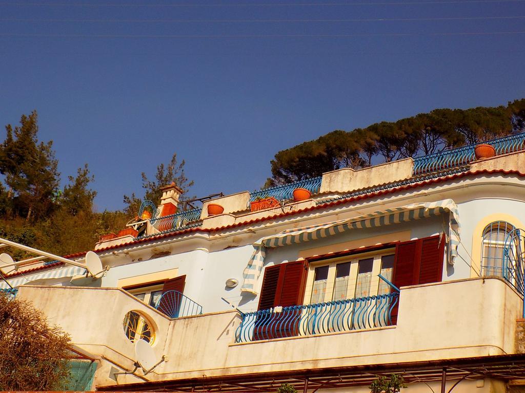 Maison De Fleurs Майори Екстериор снимка