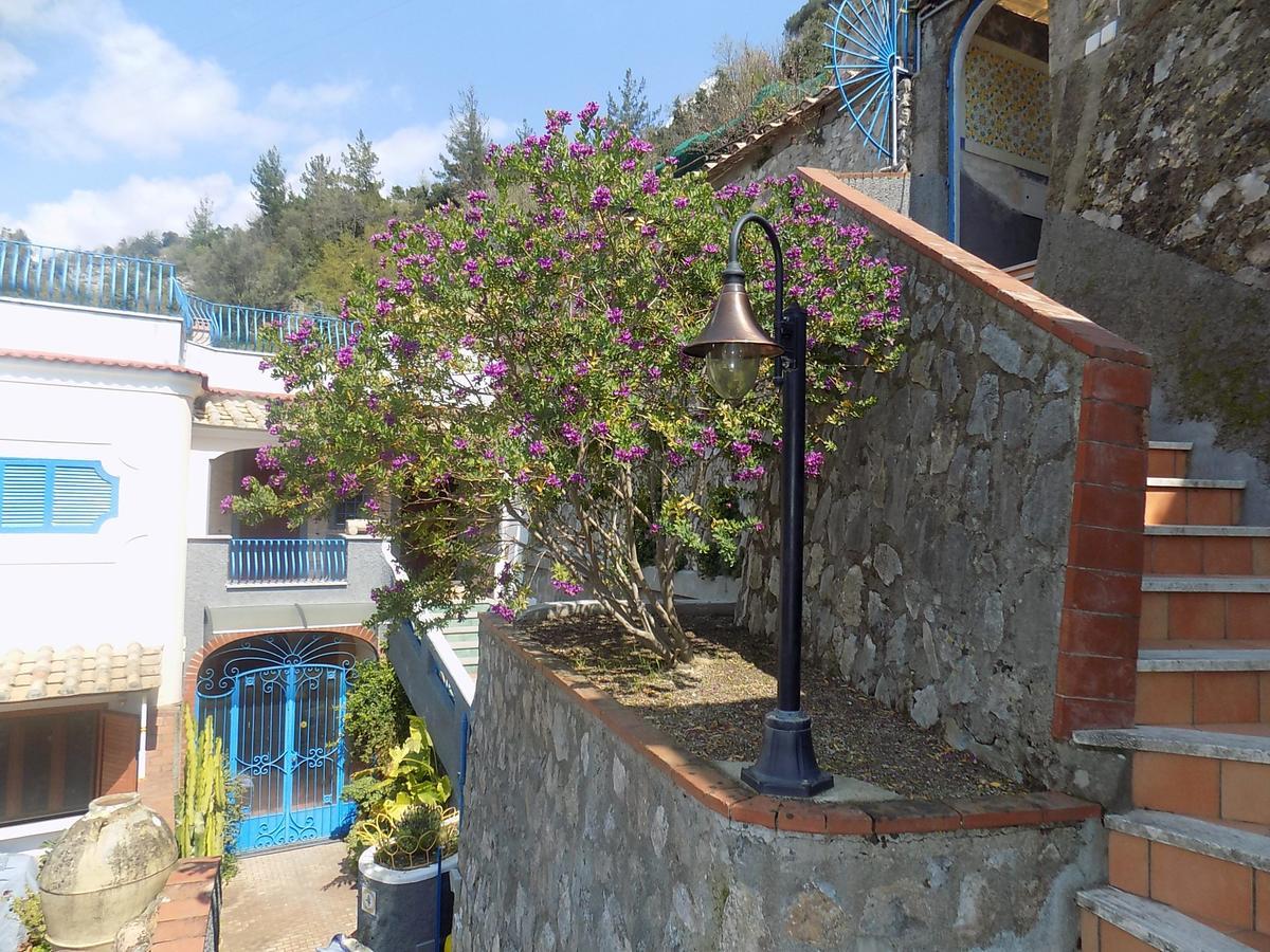 Maison De Fleurs Майори Екстериор снимка